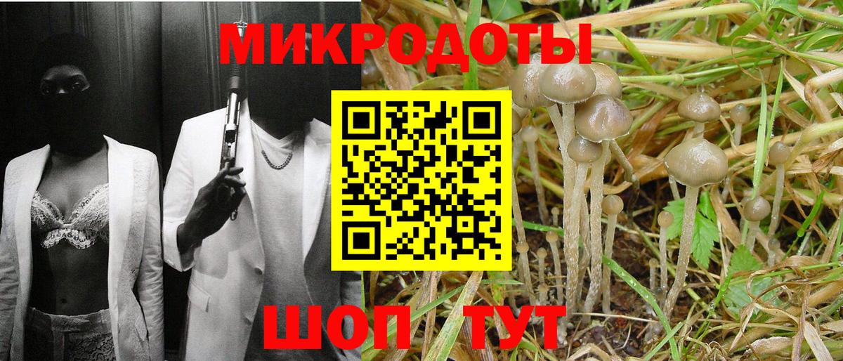 Галлюциногенные грибы Cubensis  Псилоцибиновые грибы Psilocybine cubensis  Великие Луки  закладки  Вход с VPN 
